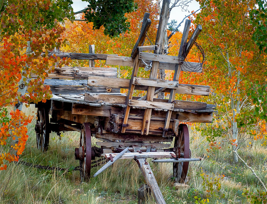 Aspens and Old Wagon Photograph by Joan Baker