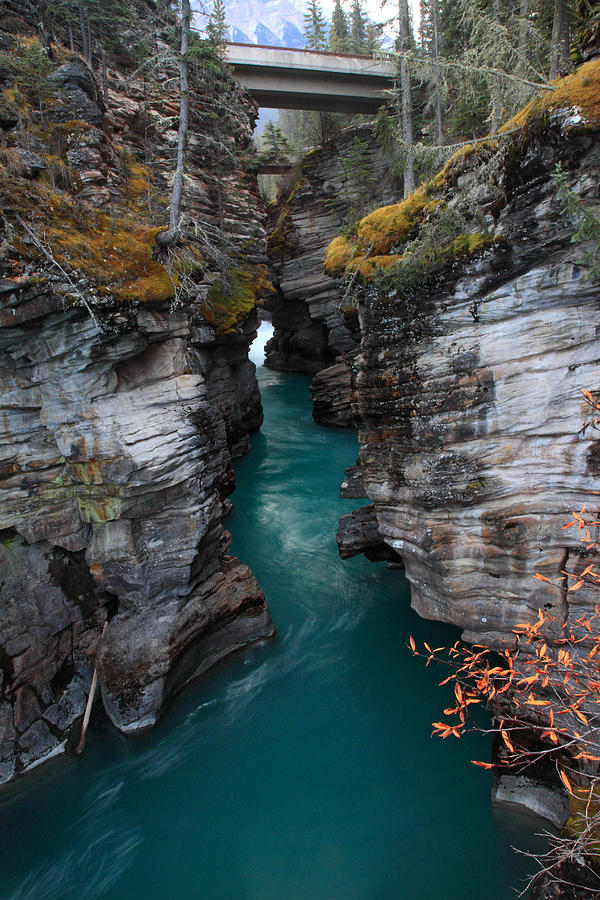 Athabasca falls in Jasper National Park Photograph by Pierre Leclerc Photography