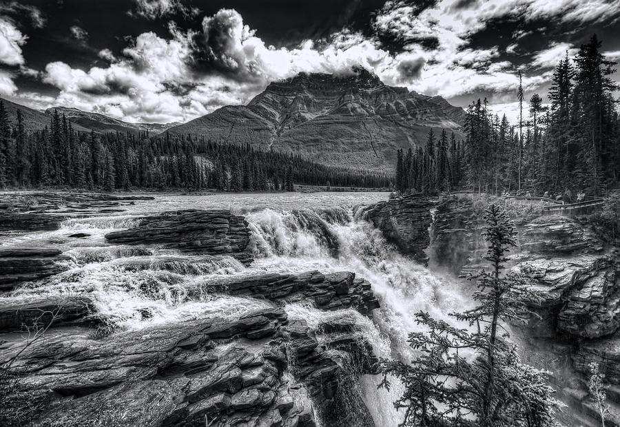 Tree Photograph - Athabasca Falls #1 by Wayne Sherriff