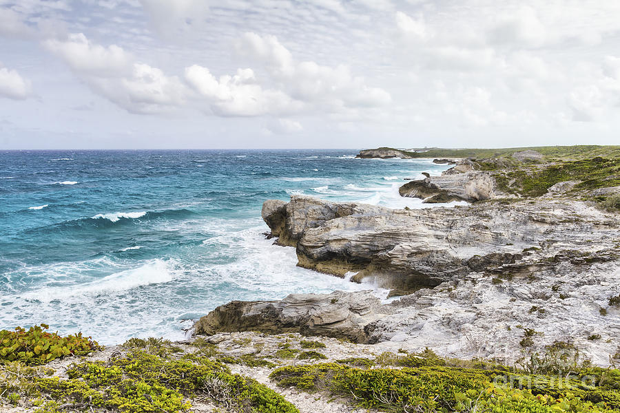Cliff Photograph - Atlantic Coastline In Bahamas by Pier Giorgio Mariani Cliff Photograph - Atlantic Coastline In Bahamas by Pier Giorgio Mariani