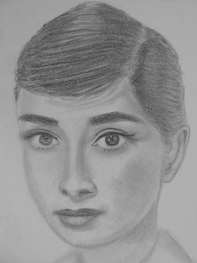 Audrey Drawing by Paul Blackmore - Fine Art America