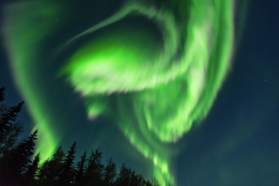 Aurora Borealis in Fairbanks Alaska #1 Photograph by Brenda Jacobs