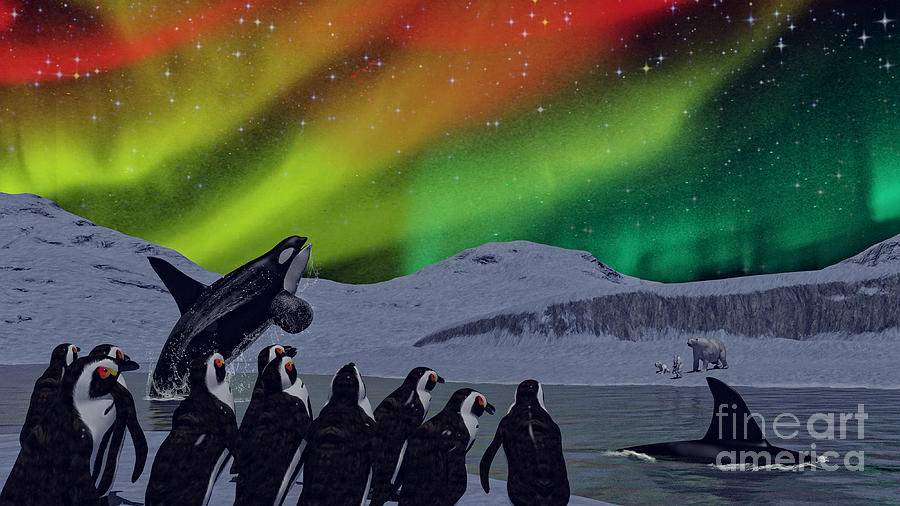 Penguin Digital Art - Aurora Borealis by Two Hivelys