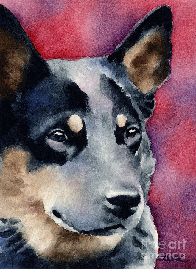 Portrait Painting - Australian Cattle Dog #1 by David Rogers