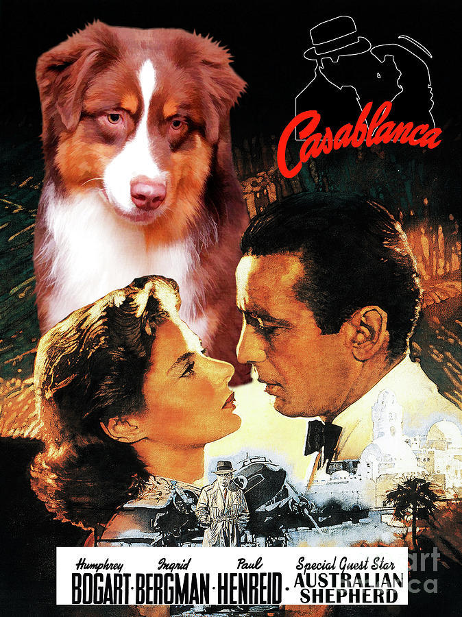 Casablanca Movie Painting - Australian Shepherd Art -  Casablanca Movie Poster #1 by Sandra Sij