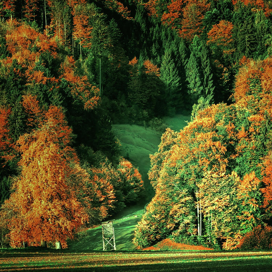 Austrian Mountain Valley In Autumn #1 Photograph by Mountain Dreams
