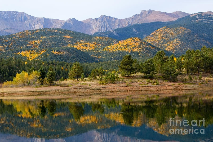 Fall Photograph - Autumn Aspen at Crystal Creek Reservoir Pikes Peak #1 by Steven Krull