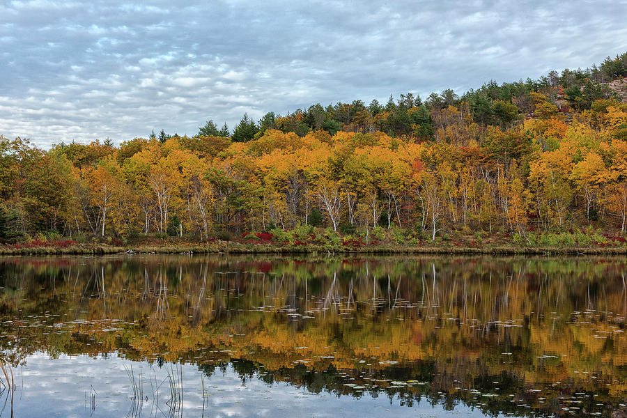 Autumn at Beaver Dam Pond #1 Photograph by Dennis Kowalewski