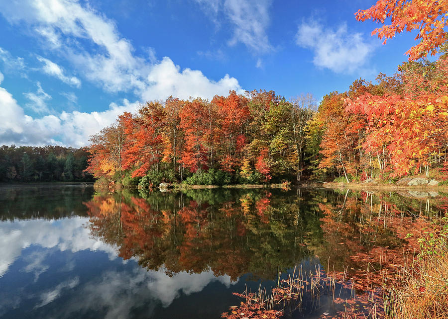 Autumn at Boley Lake by Jaki Miller Autumn at Boley Lake by Jaki Miller