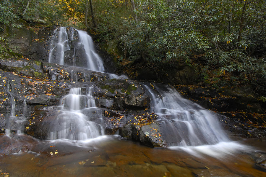 Autumn at Laurel Falls #1 Photograph by Darrell Young