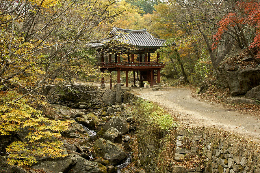 Autumn at Seonamsa #1 Photograph by Michele Burgess