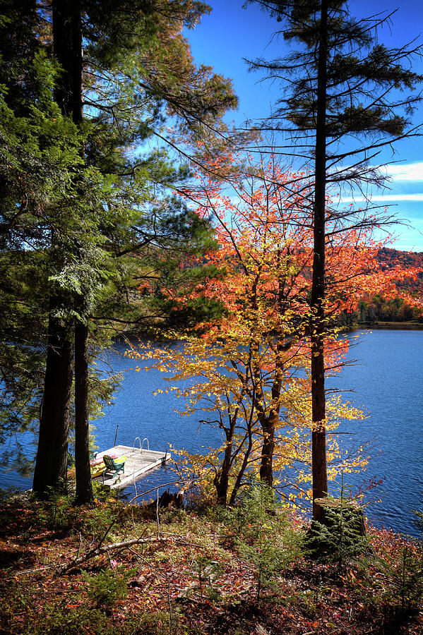 Autumn at the Dock #1 Photograph by David Patterson
