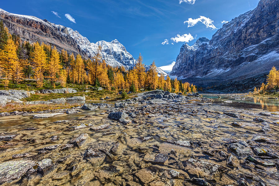 Autumn at the Opabin Plateau #2 Photograph by Pierre Leclerc Photography