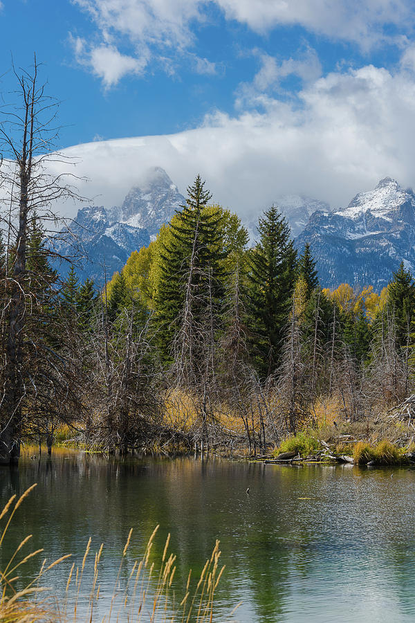 Autumn At The Tetons #1 Photograph by Yeates Photography