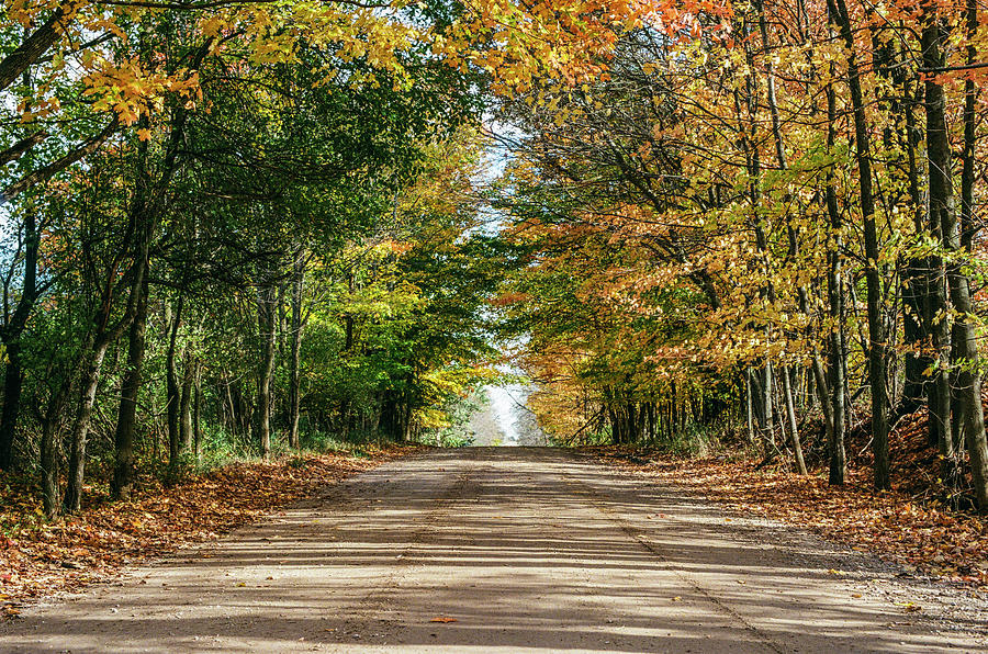 Autumn Backroad  #1 Photograph by John McGraw