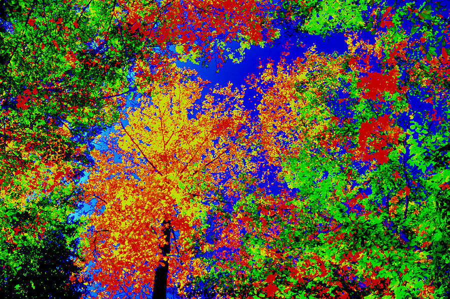 Autumn Bouquet #1 Digital Art by Aron Chervin
