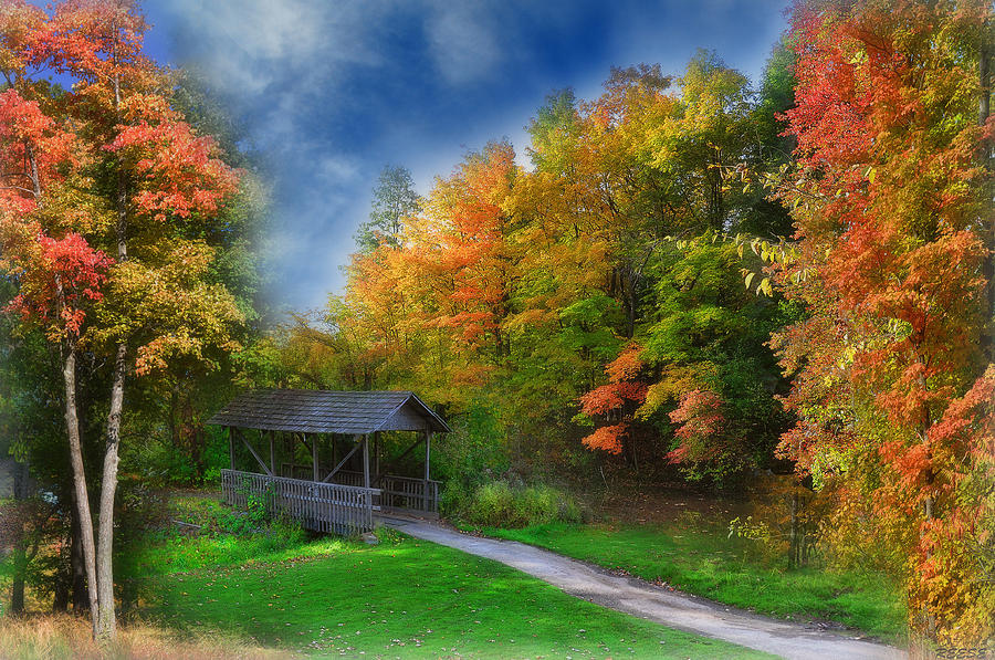 Fall Photograph - Autumn Bridge #2 by Reese Lewis