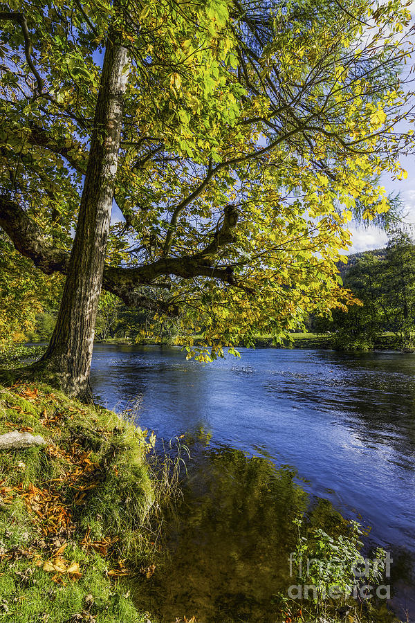 Nature Photograph - Autumn By The River #1 by Ian Mitchell