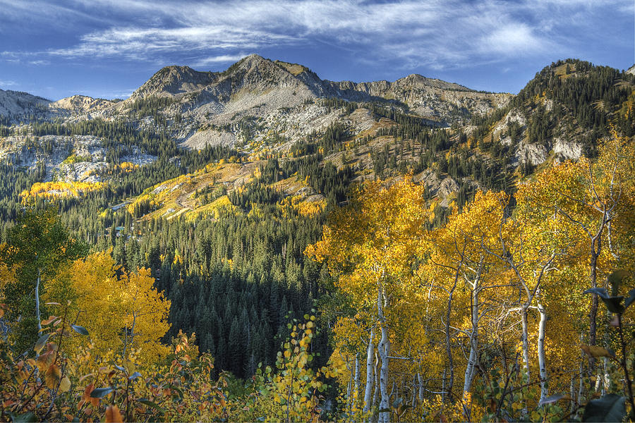 Fall Photograph - Autumn Colors in the Wasatch Mountains #1 by Douglas Pulsipher