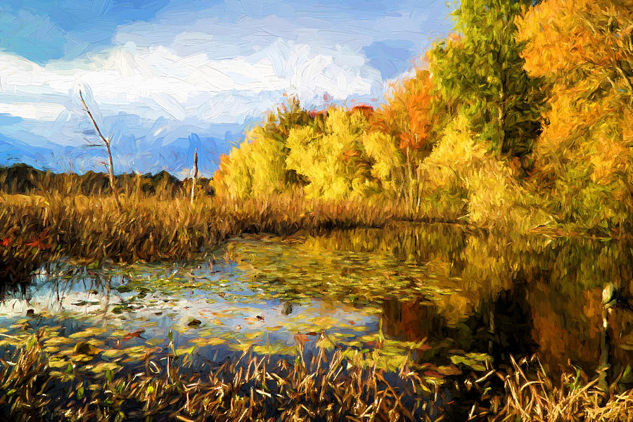 Autumn colors #1 Painting by Lilia S
