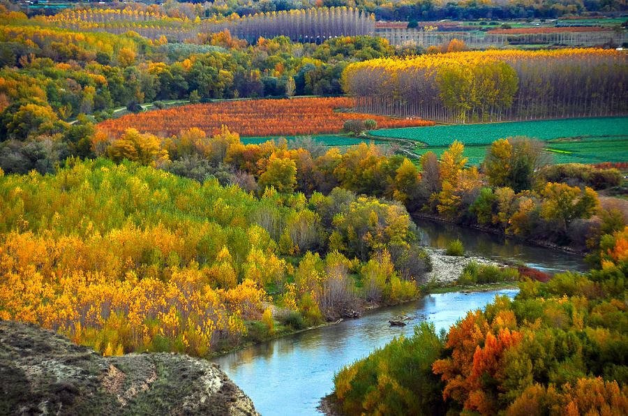 Autumn colors on the Ebro river #2 Photograph by RicardMN Photography