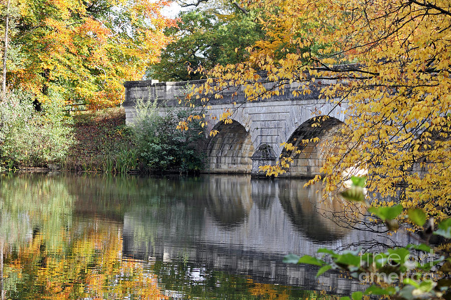 More autumn colours at Virginia Water UK Photograph by Julia Gavin