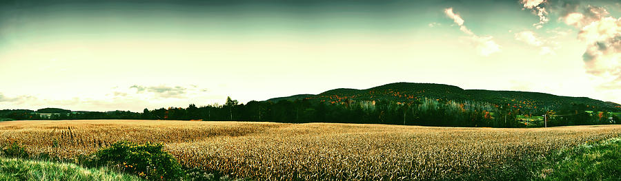 Autumn Cornfield In Ohio #1 Photograph by Mountain Dreams