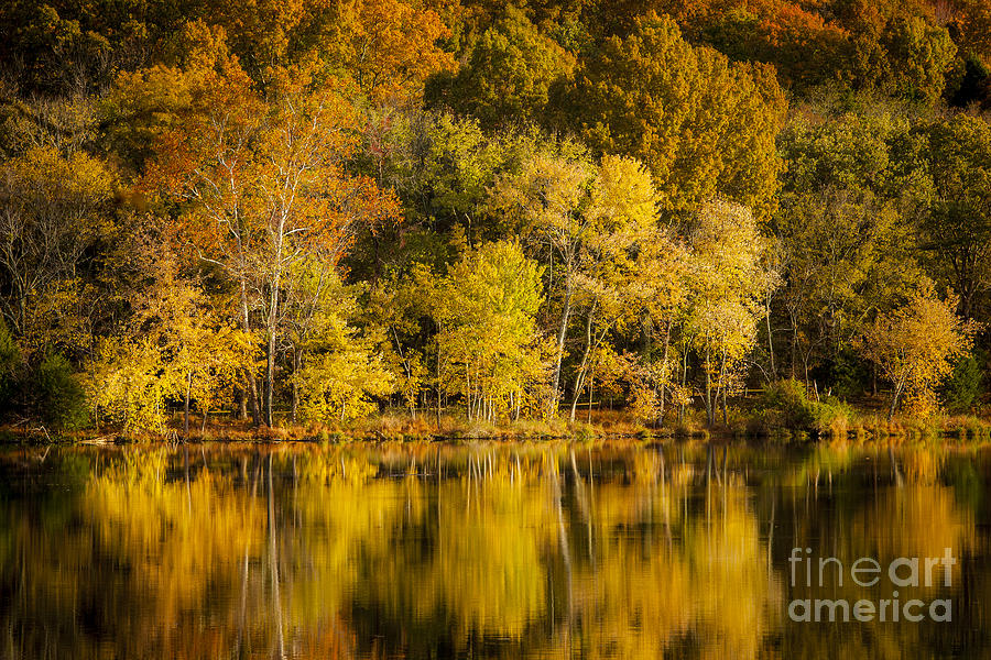 Autumn Dawn at Radnor Lake - Nashville Tennessee Photograph by Brian Jannsen