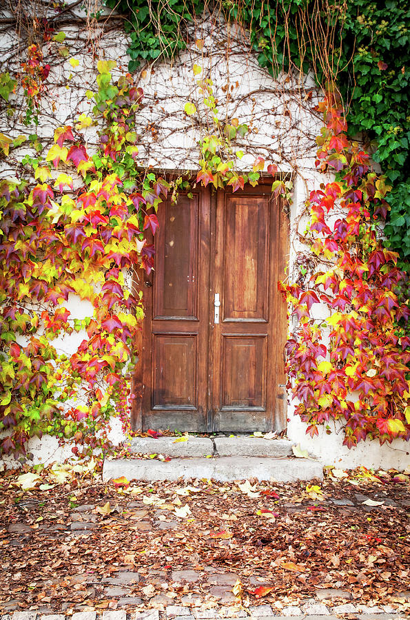 Autumn Decoration for Wooden Doorway. Prague 1 Photograph by Jenny Rainbow