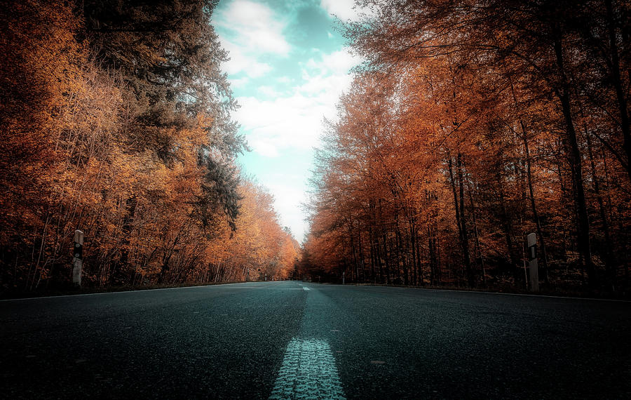 Autumn Drive #1 Photograph by Mountain Dreams