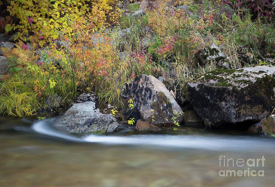 Autumn Flow #1 Photograph by Idaho Scenic Images Linda Lantzy