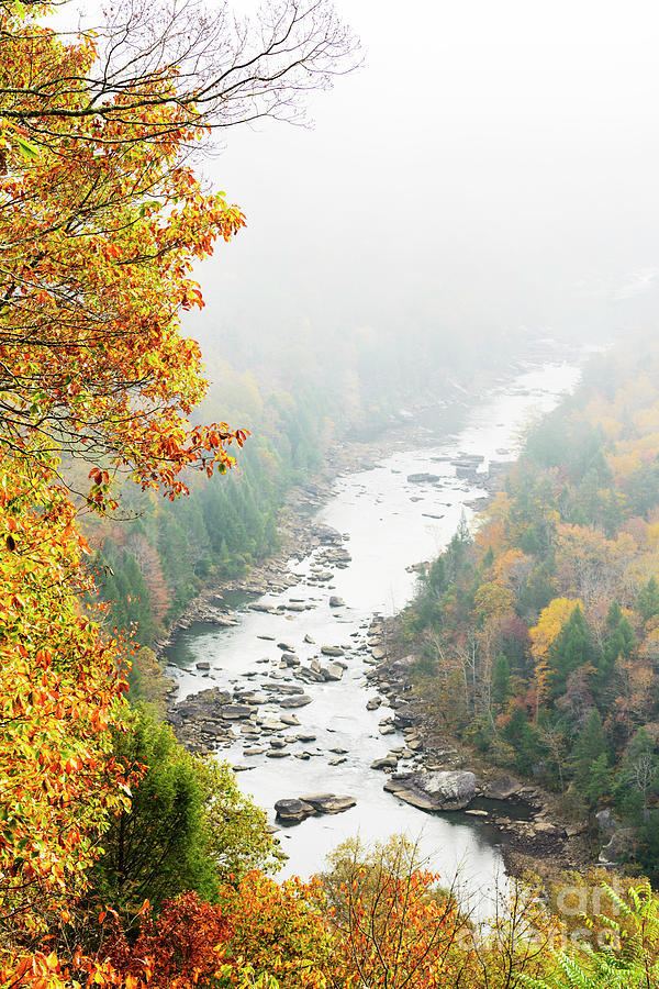 Autumn Fog Gauley River #1 Photograph by Thomas R Fletcher