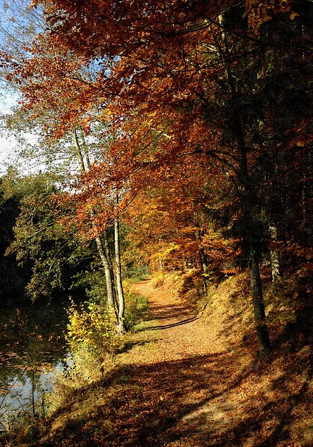 Autumn Forest Path L B Digital Art By Gert J Rheeders