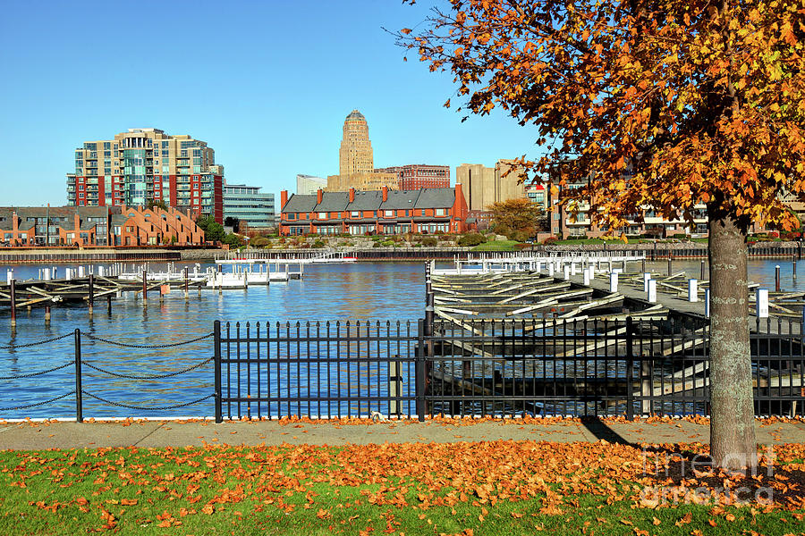 Autumn in Buffalo New York Photograph by Denis Tangney Jr | Fine Art ...