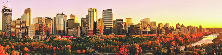 Autumn In Calgary #1 Photograph by Mountain Dreams
