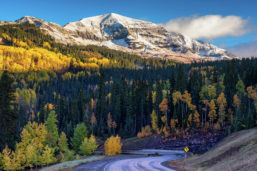 Autumn In Colorado #1 Photograph by John De Bord