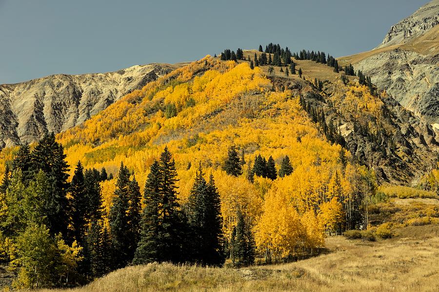 Autumn In Colorado #1 Photograph by Mountain Dreams