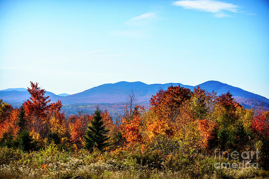 Autumn in Maine #1 Photograph by Alana Ranney