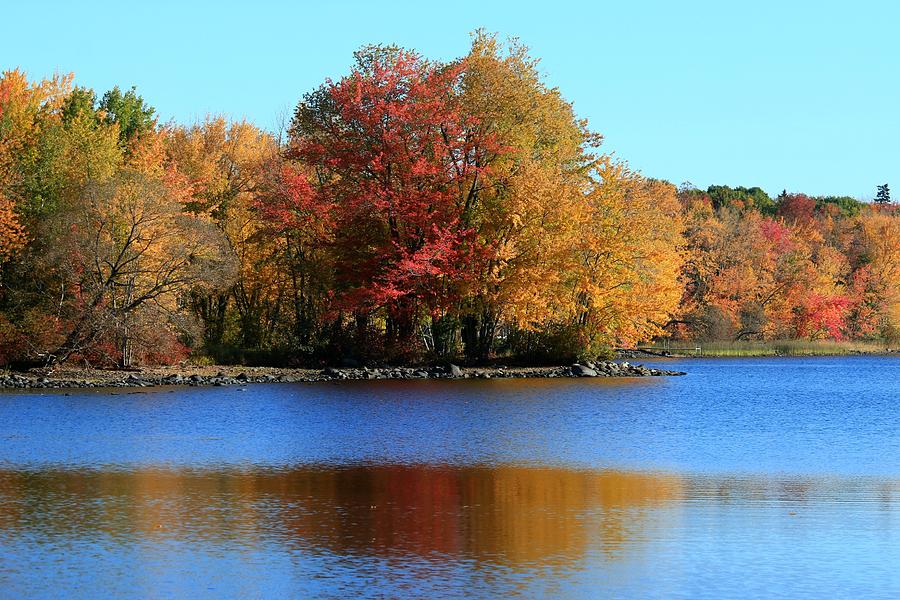 Autumn in Maine Photograph by Laurie Bird - Fine Art America