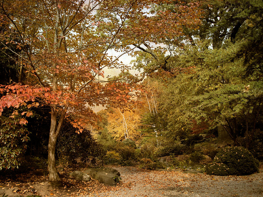 Autumn in the Rock Garden #2 Photograph by Jessica Jenney