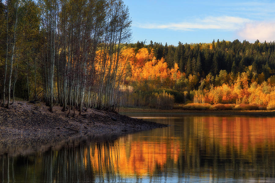 Autumn in the Wasatch Mountains #5 Photograph by Douglas Pulsipher