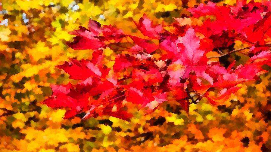 Autumn Digital Art