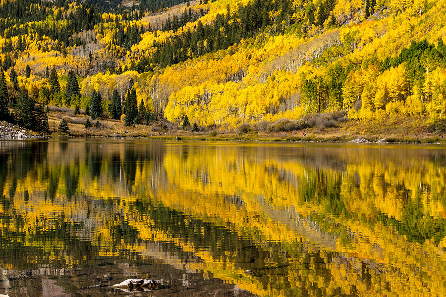 Autumn Lake Reflections #1 Photograph by Teri Virbickis