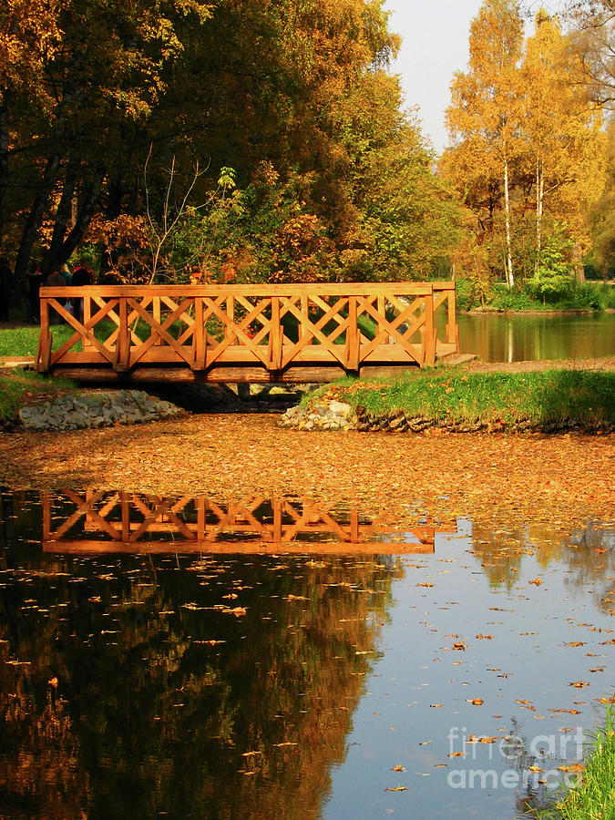 Autumn landscape with bridge #1 Photograph by Irina Afonskaya