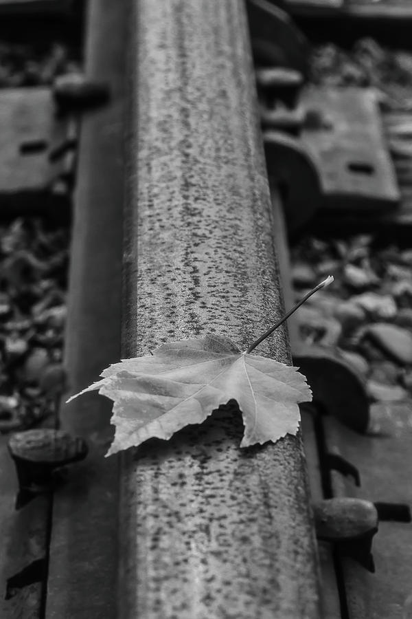 Autumn Leaf On Railroad Tracks #1 Photograph by Garry Gay