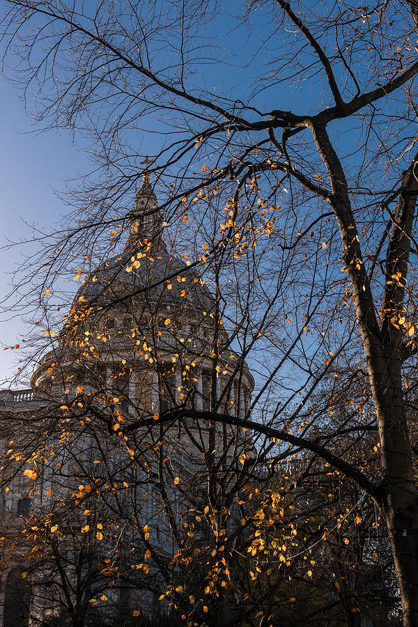 Autumn leaves at St Pauls Cathedral London #1 Photograph by Gary Eason