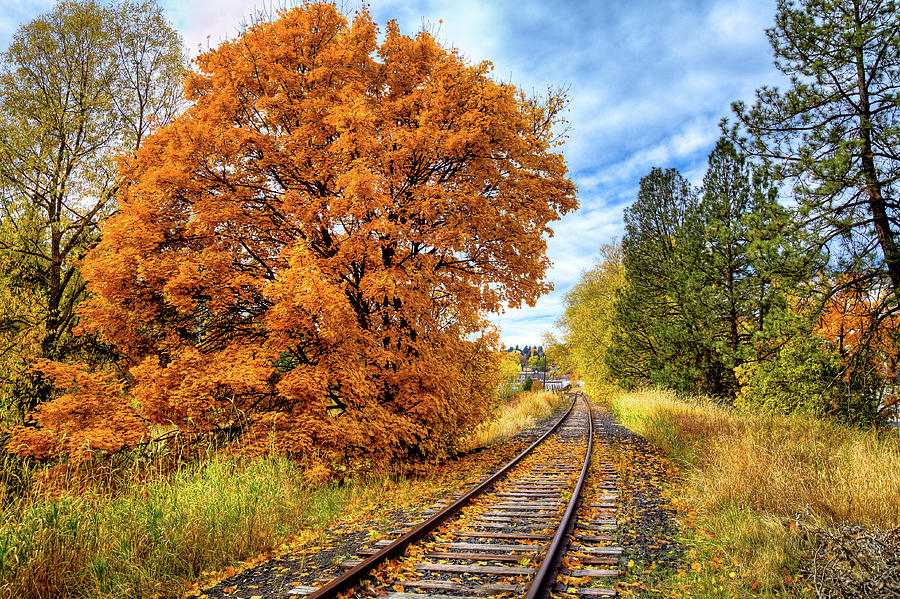 Autumn Leaves on the Tracks #2 Photograph by David Patterson
