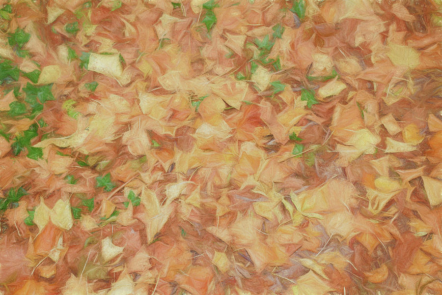 Autumn Leaves #1 Digital Art by Roy Pedersen