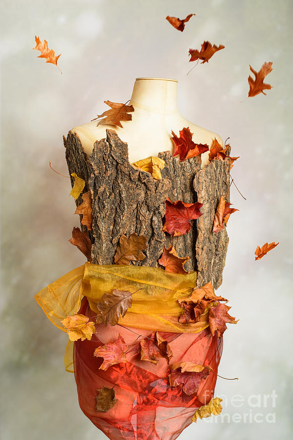 Fall Photograph - Autumn Mannequin #1 by Amanda Elwell
