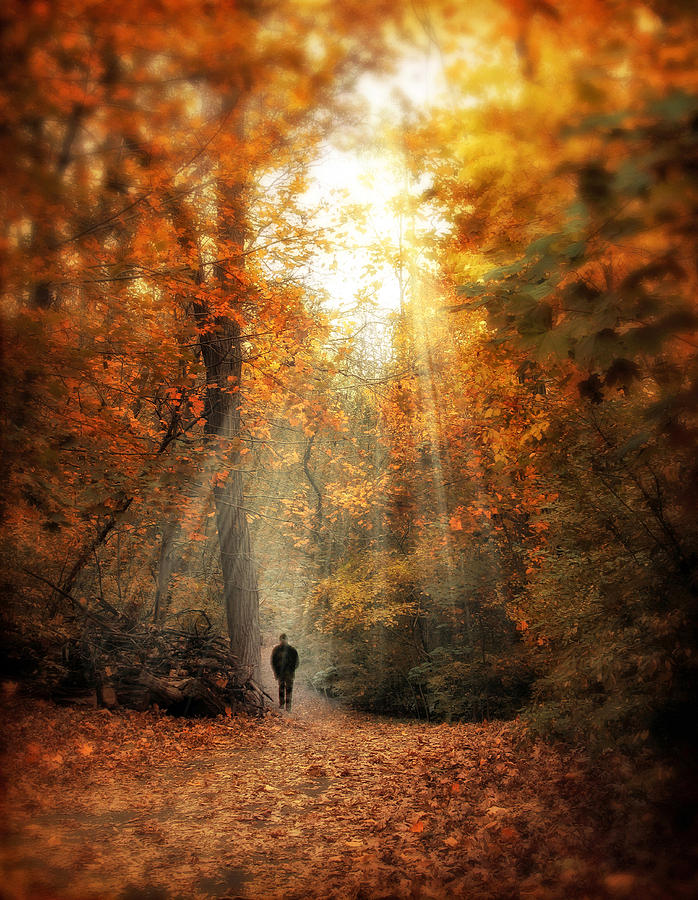 Nature Photograph - Autumn Meditation by Jessica Jenney